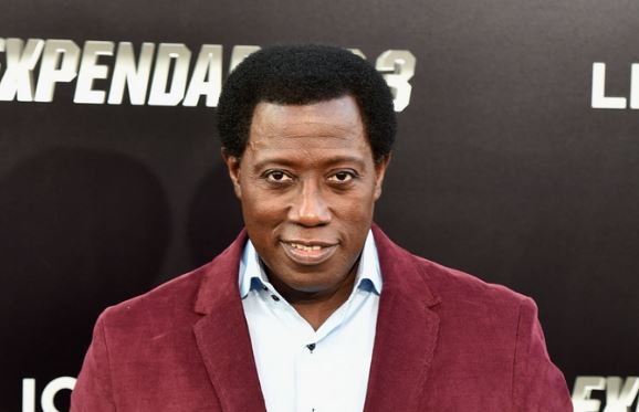 Wesley Snipes Net Worth 2021 – Actor and Martial Artist